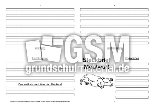 Maulwurf-Faltbuch-vierseitig-2.pdf